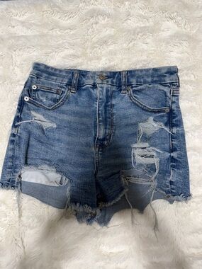 American Eagle Outfitters Distressed Light Blue Denim Shorts